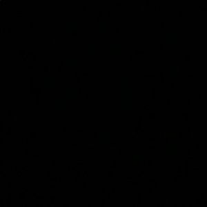 Meet your Posher, Elisha